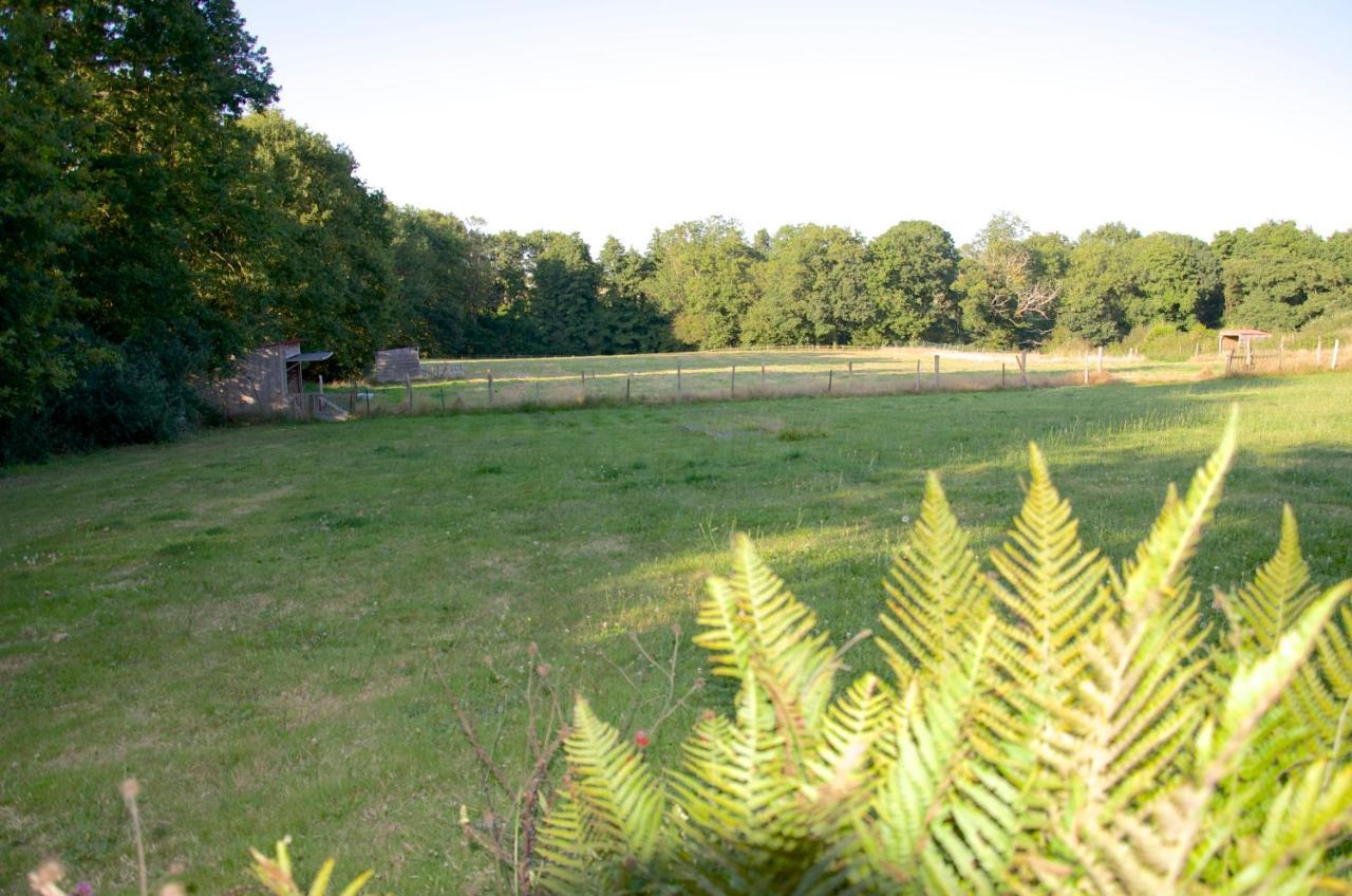 Gite Le Champ Libre Dompierre-Sur-Yon Ngoại thất bức ảnh